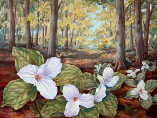 Jigsaw Puzzle «Flowers in the forest»