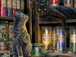 Jigsaw Puzzle «At the alchemy shop»