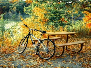 Jigsaw Puzzle «In the park by the bench»