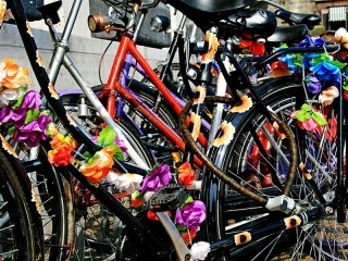 Jigsaw Puzzle «Bicycles on holiday»