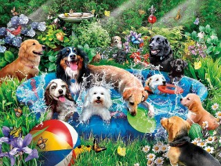 Jigsaw Puzzle #29256