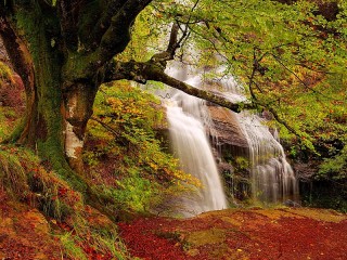 Jigsaw Puzzle «Waterfall in Autumn Forest»