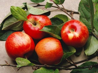 Jigsaw Puzzle «Apples and twigs»