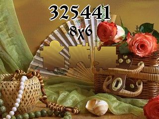 Puzzle №325441