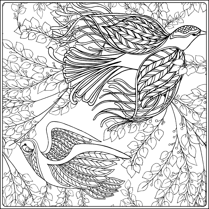 Download Coloring Page «swallow». №288212