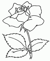 Coloring Page №37148