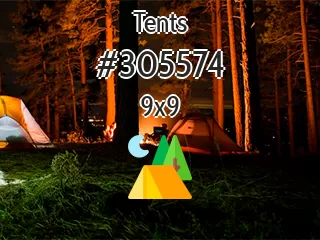 Tents №305574