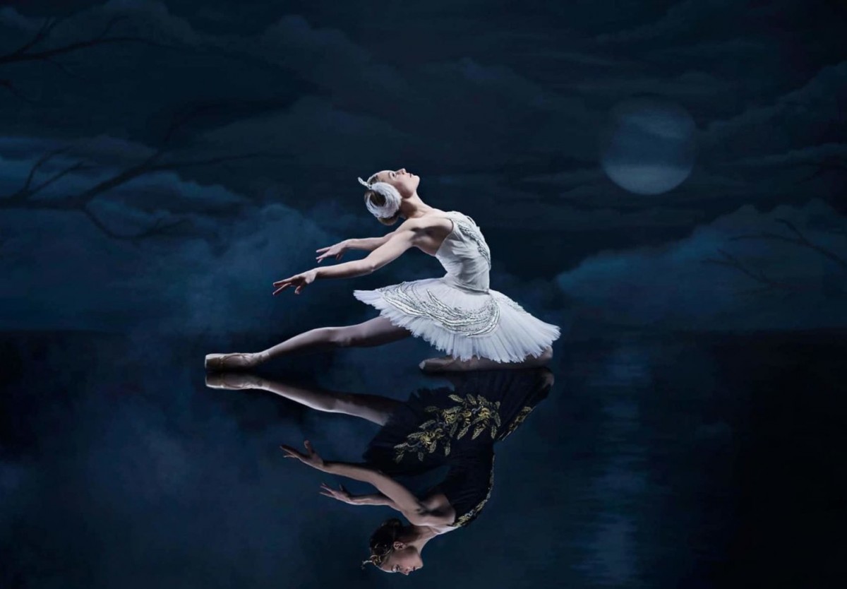 Ballet Swan Lakes. 