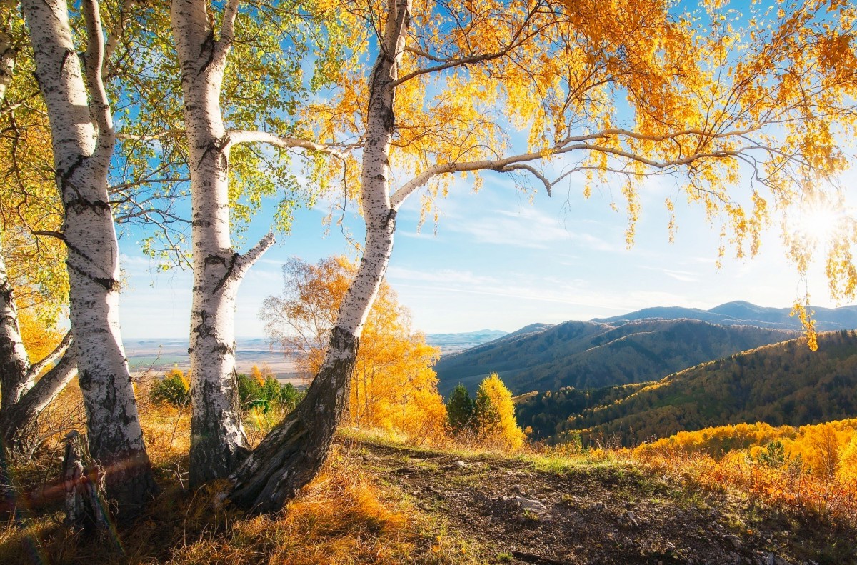 Картинки с пейзажом