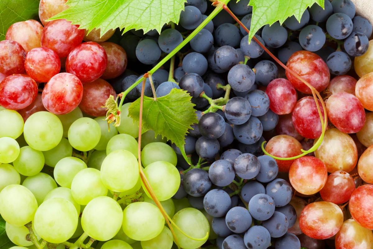 Por que se toman uvas en nochevieja