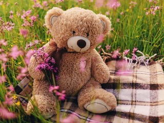 Jigsaw Puzzle «Picnic for Teddy»