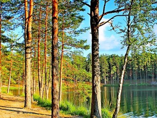 Jigsaw Puzzle «Lake in the forest»