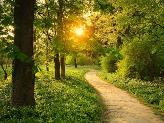 Jigsaw Puzzle «Path in the Park»