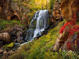 Jigsaw Puzzle «Waterfall in the forest»
