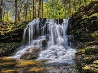 Jigsaw Puzzle «Waterfall in the forest»