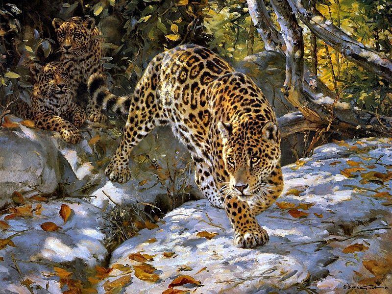 Jaguar Jigsaw Puzzle Online 