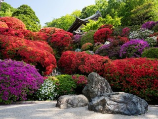 Jigsaw Puzzle «Japanese garden»